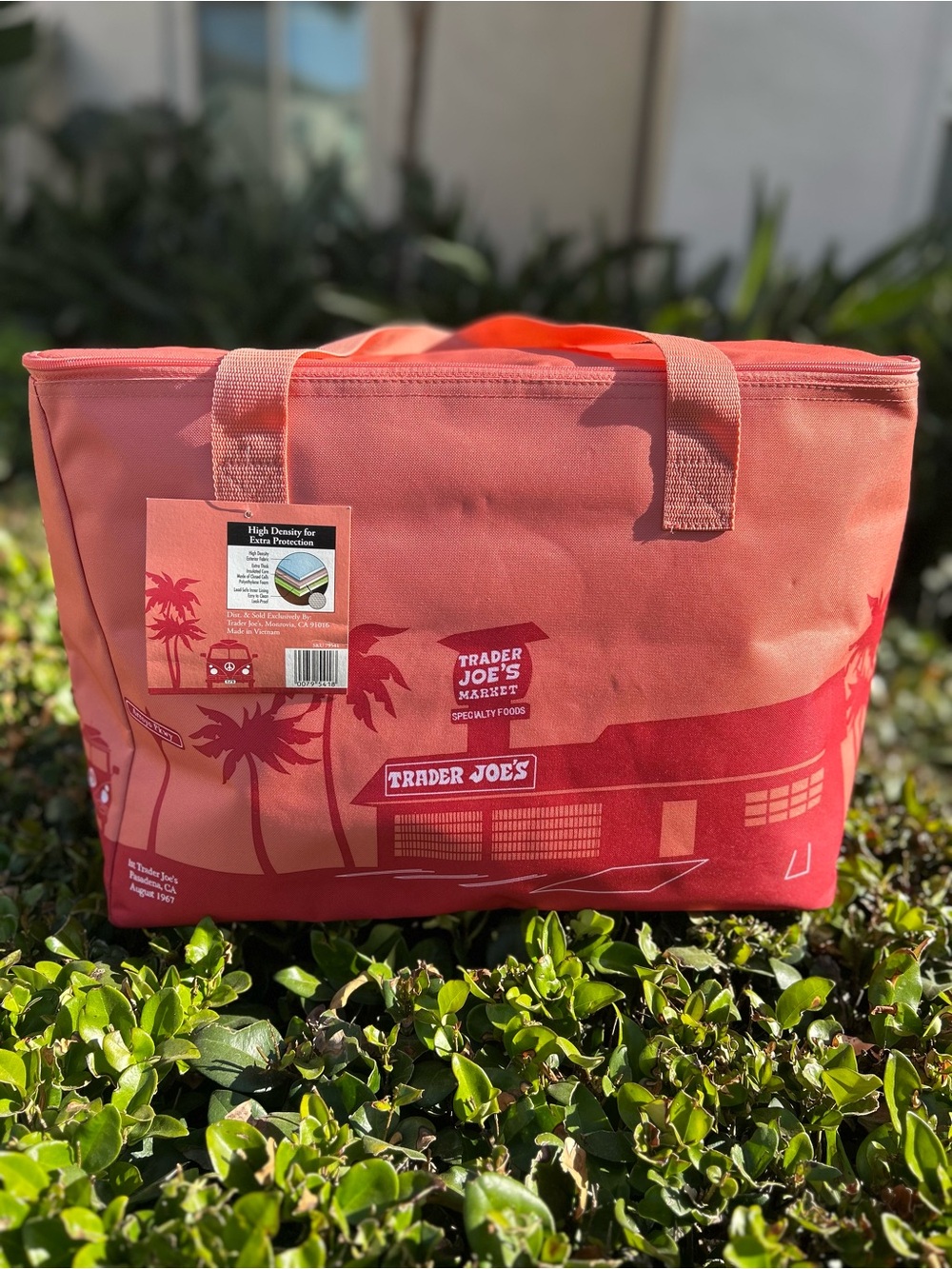 Trader Joe’s large insulated bag